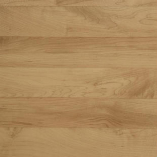 Спортивный линолеум Tarkett OMNISPORTS R35 OMNISPORTS MAPLE Спортивный линолеум Tarkett OMNISPORTS R35 OMNISPORTS MAPLE